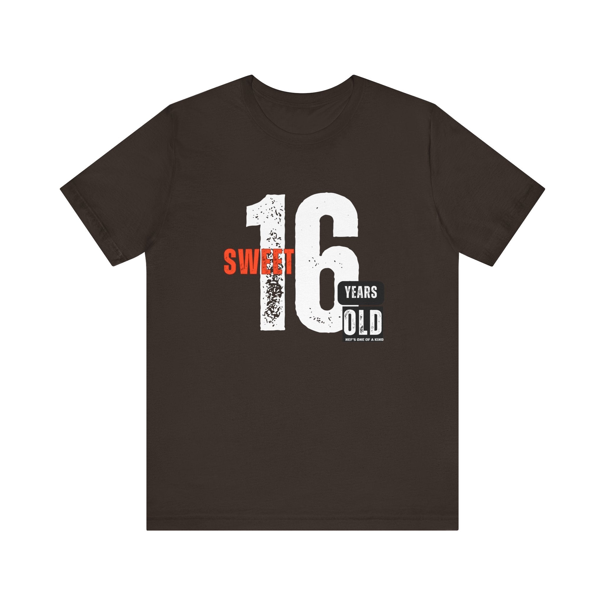16year Old Unisex Adult Tee